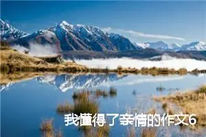 我懂得了亲情的作文600字(精选5篇)