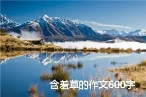 含羞草的作文600字