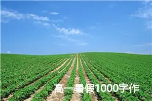 高一暑假1000字作文(精选5篇)