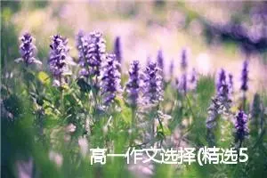 高一作文选择(精选5篇)