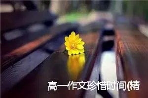 高一作文珍惜时间(精选5篇)
