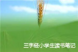 三字经小学生读书笔记