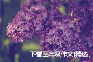 下雪三年级作文(精选5篇)