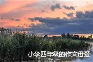 小学四年级的作文母爱(精选5篇)