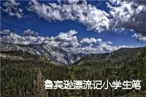 鲁宾逊漂流记小学生笔记