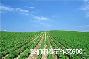我们的春节作文600字(精选10篇)