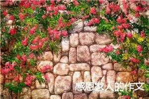 感恩家人的作文