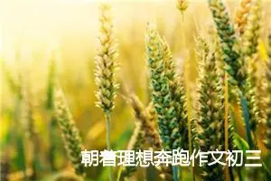 朝着理想奔跑作文初三(精选5篇)