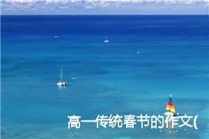 高一传统春节的作文(精选5篇)