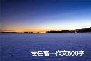 责任高一作文800字记叙文(精选5篇)