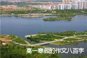 高一寒假的作文八百字(精选5篇)