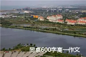 同桌600字高一作文(精选5篇)