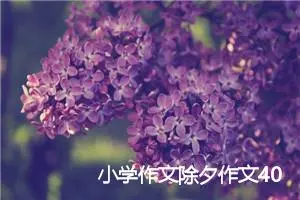 小学作文除夕作文400字(精选2篇)