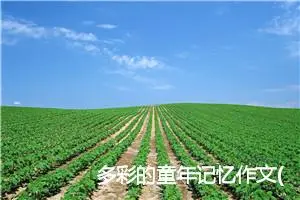 多彩的童年记忆作文(精选5篇)