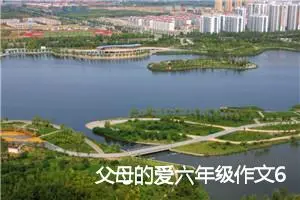 父母的爱六年级作文600字左右(精选5篇)