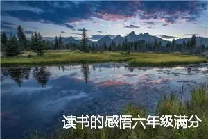 读书的感悟六年级满分作文(精选5篇)