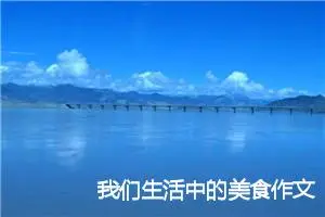 我们生活中的美食作文(精选5篇)
