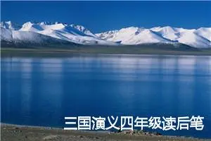 三国演义四年级读后笔记