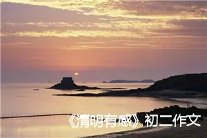 《清明有感》初二作文(精选5篇)