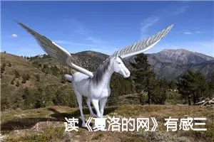 读《夏洛的网》有感三年级作文(精选9篇)