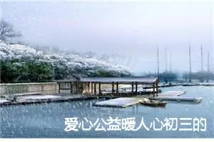 爱心公益暖人心初三的作文(精选5篇)