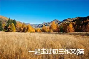 一起走过初三作文(精选5篇)