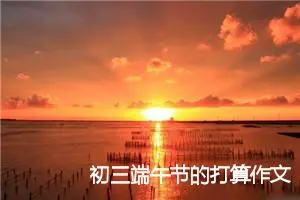 初三端午节的打算作文(精选5篇)