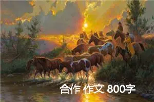 合作 作文 800字