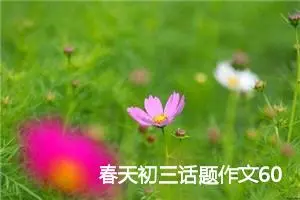 春天初三话题作文600字(精选5篇)