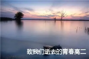 致我们逝去的青春高二作文(精选5篇)