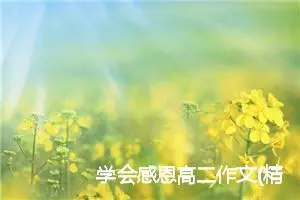 学会感恩高二作文(精选5篇)