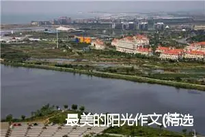 最美的阳光作文(精选5篇)