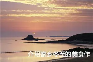 介绍家乡冬至的美食作文(精选10篇)