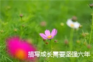 描写成长需要坚强六年级作文(精选5篇)