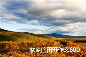 家乡的田野作文600字(精选5篇)