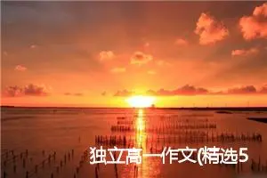 独立高一作文(精选5篇)