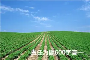 责任为题600字高一作文(精选5篇)