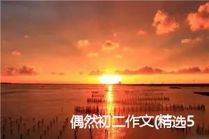 偶然初二作文(精选5篇)