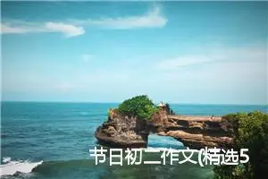 节日初二作文(精选5篇)