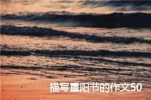 描写重阳节的作文500字(精选10篇)