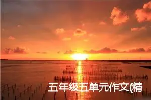五年级五单元作文(精选1篇)