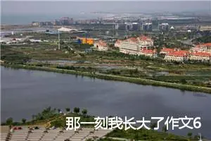 那一刻我长大了作文600字(精选17篇)