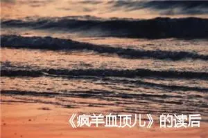 《疯羊血顶儿》的读后感四年级作文