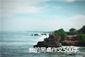 我的同桌作文500字