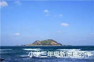 小学三年级新同桌的作文(精选5篇)