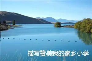 描写赞美我的家乡小学生作文(精选5篇)