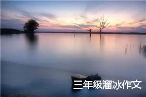 三年级溜冰作文