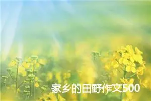 家乡的田野作文500字(精选5篇)