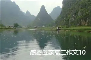 感恩母亲高二作文1000字(精选5篇)