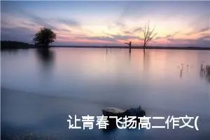 让青春飞扬高二作文(精选5篇)